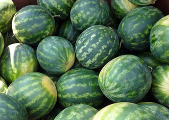 Pile of imperfect watermelons at a farmers market.