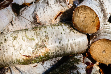 Lots of wood in the pile