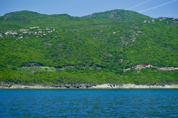 Greened cliff at the ocean