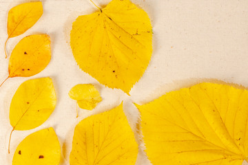 Top view of yellow leaves on vintage background, autumn foliage with copy space