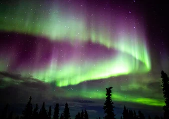 Türaufkleber Aurora in Fairbanks, Alaska © 英敏 松本