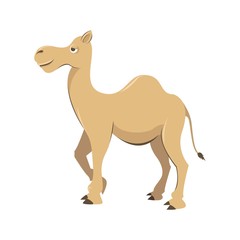 Camel Cartoon Illustration