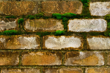 Old red brick wall with moss. Stone background