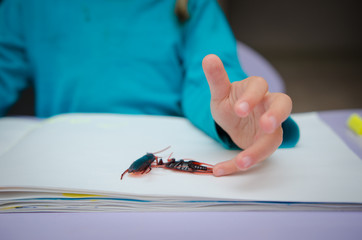The cute little girl looking and afraid of cockroaches, Because the cockroaches are dirty and disgusting, focus on cockroaches, blur background, filter