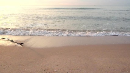 Ocean wave with tree branch at beach on the morning.