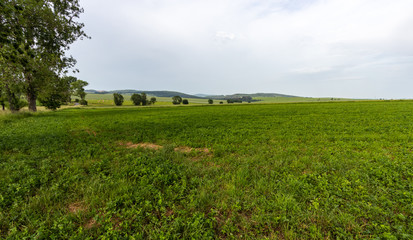 Fototapeta na wymiar Cultivated fields in the southwestern part of Poland