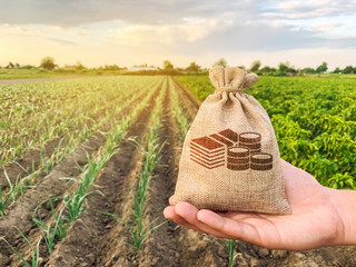 The farmer holds a money bag on the background of plantations. Lending and subsidizing farmers....
