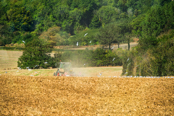 tracteur et sa remorque pour labourer les champs dans un joli paysage