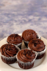 Chocolate cupcakes over white plate and blue blurred background with copy space. Shallow depth of field 