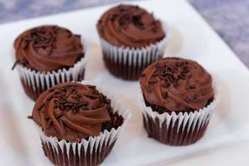 Chocolate cupcakes over square white plate and blue blurred background