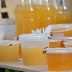 showcase with selling honey and flying bees