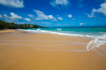 Sea wave beach summer vacation background