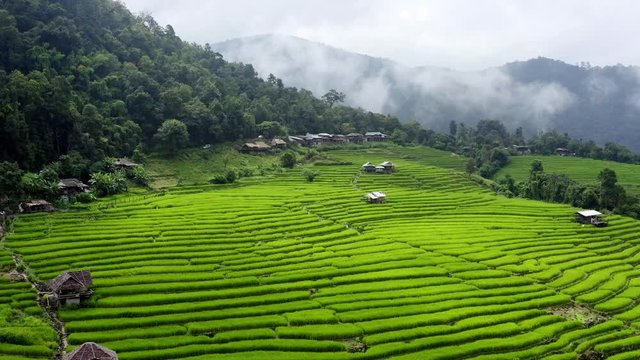 Rice terraces at Pa PongPleng Chiang Mai WRP