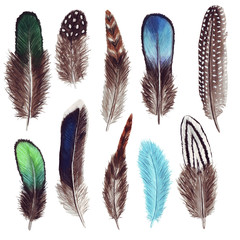 Hand drawn watercolor vibrant feather set. Boho style. illustration isolated on white. Bird fly design for T-shirt, invitation, wedding card.Rustic feathers Bright colors.  
