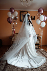 Elegant, sensual and beautiful brunette bride with stylish wedding hairstyle and with bright makeup, in fashionable lace robe and with a veil. Bride posing in room with air balls in the room