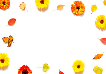 Colorful Autumn leaves and calendula flowers frame on the white background. Top view