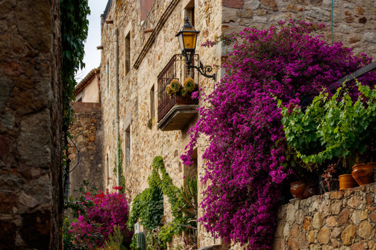 ancient street in the town of pals