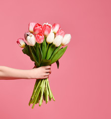 bouquet with tulips in hands
