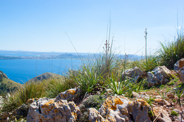 Mallorca panorama view with Mountains and green forest and blue sky