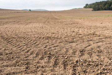 Desiccated soil in the field due to global warming