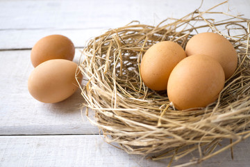 Close up fresh organic eggs on nest  on white wooden background.