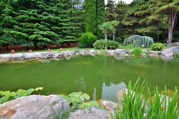 Fototapeta na wymiar A Beautiful pine park with a pond