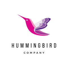 abstract Hummingbird line art animal custom Logo Design vector Inspirations