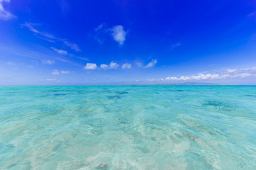 八重山諸島の海