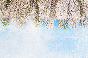 Christmas border. Green snowy fir branches on blue frozen texture background with copy space