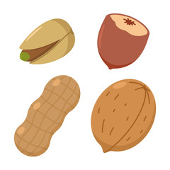 Nut vector cartoon set isolated on a white background.