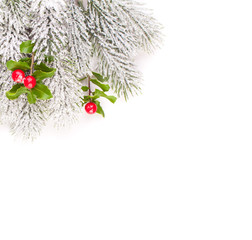 Christmas composition border with green frozen fir branch and holly red berries and leaves isolated...