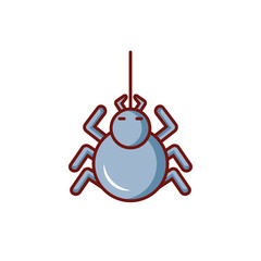 creepy spider animal on white background