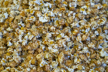 dried chamomile flowers close up