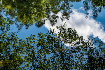 Arc natural Fragea de Eume, Galice, Espagne.