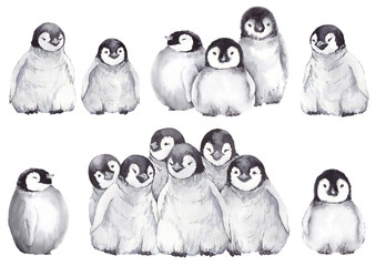 Collection of cute baby penguins. Winter cartoon illustration. Watercolor isolated on white background. © JeannaDraw