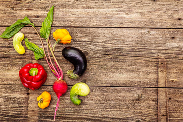 Trendy ugly organic vegetables. Assortment of fresh pepper, eggplant, cucumber, tomato, pumpkin, beetroot
