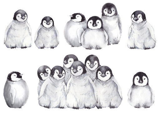 baby penguins drawing