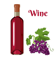 Glass bottle with red wine and bunch of dark grapes isolated on white background. Vector illustration of liquor and branch of fresh berries in cartoon simple flat style.