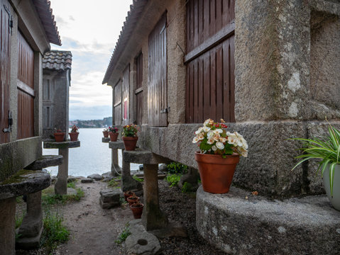 flower pots surrounding traditional granaries or horreos in the fishing village of Combarro, Spain