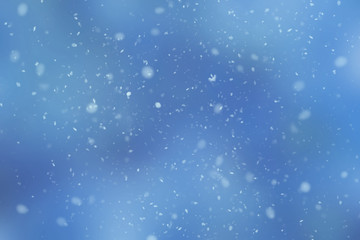 Tender blue winter background with snowflakes. New Year's atmosphere.
