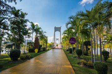 Footpath in Public Park