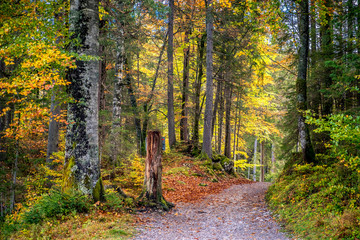 Eibsee lake Germany Garmisch in autumn