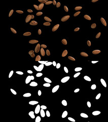 3D illustration of a almond flow with alpha layer