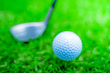 Naklejka premium golf ball close-up in soft focus at sunlight with Green grass. wide landscape as background ,Sport playground for golf club concept.shallow focus effect.