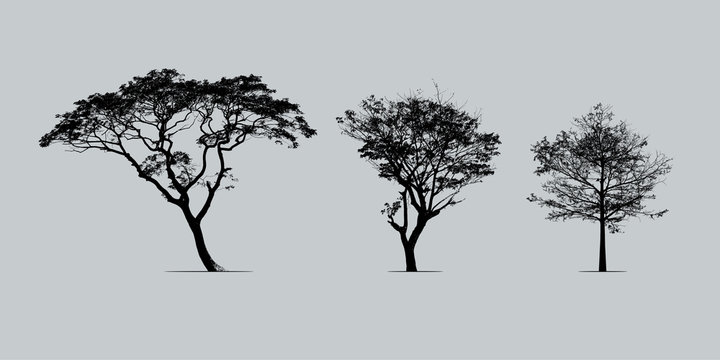 set of trees silhouette : vector file