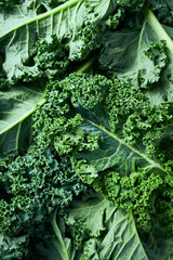 Close-up of fresh green kale leaves. Healthy food ingredients. Culinary background - 291966709