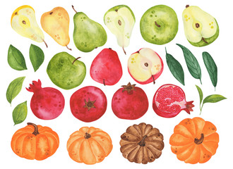 Set of watercolor autumn harvest