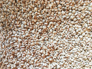 Picture of millet or job’s tears is cereal and is food because it is used to advertise food