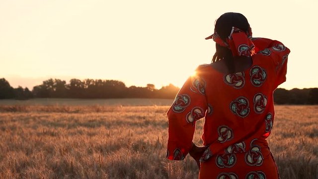 HD Video clip of African woman farmer in traditional clothes standing in a field of crops, wheat or barley, in Africa at sunset or sunrise