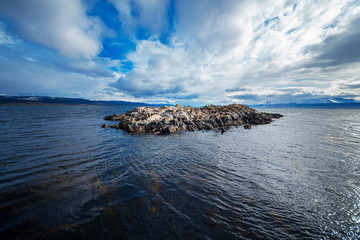 Fototapeta na wymiar sea lion and rocks
